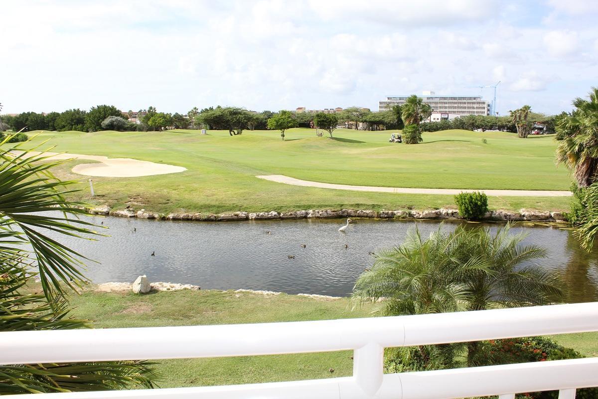 Divi Studio Palm Beach Exterior foto